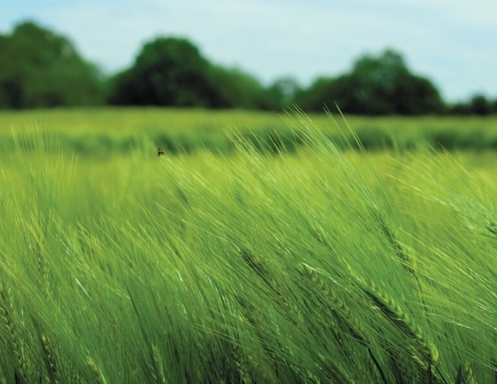 Программа «Психоэмоциональное восстановление на курорте» - Санаторий «Виктория» Кисловодск