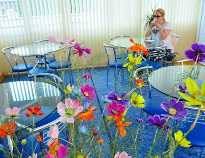 Фито-бар - Санаторий «Виктория» Кисловодск