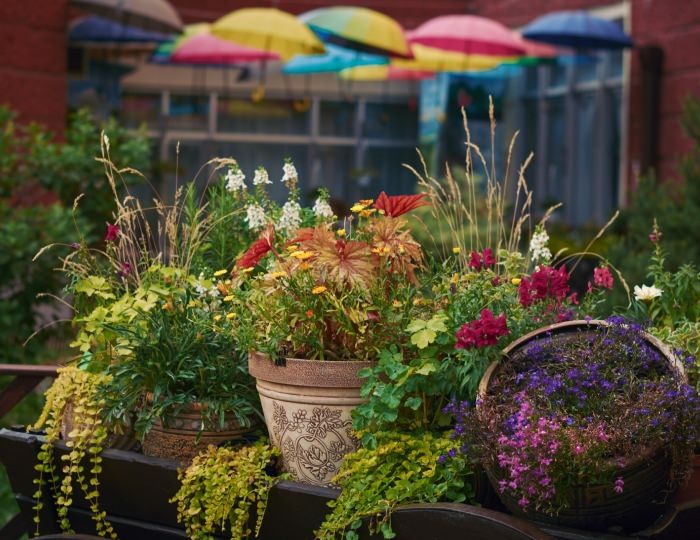 Контакты - Санаторий «Виктория» Кисловодск